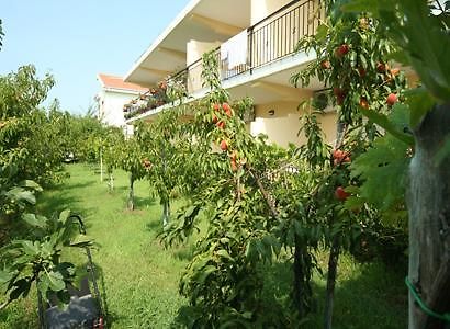 Bed And Breakfast Cirelli Scalea Exteriör bild
