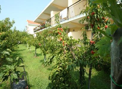 Bed And Breakfast Cirelli Scalea Exteriör bild